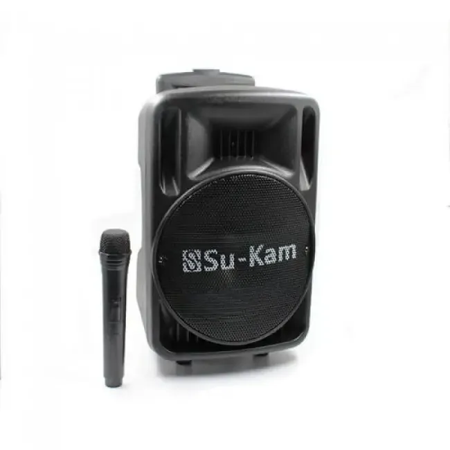 Портативна Bluetooth колонка Su-Kam BT 100D з FM та бездротовим мікрофоном 12V/220V SkyRocet Одеса - фото 2