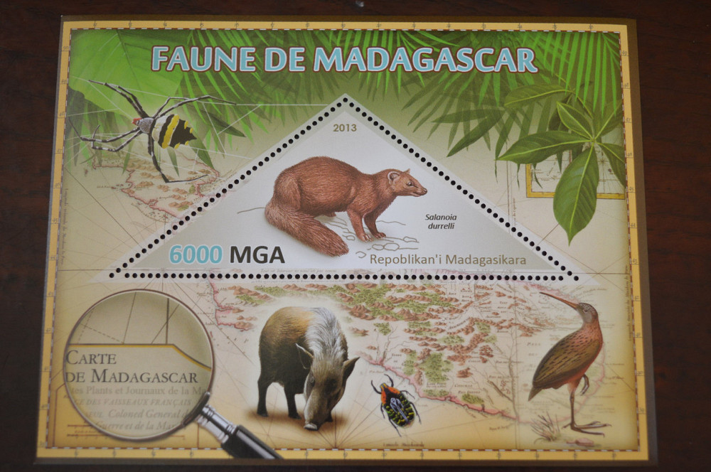 Мадагаскар. Фауна. Личности. Блок. 2014 р. (А-34) Полтава - фото 1