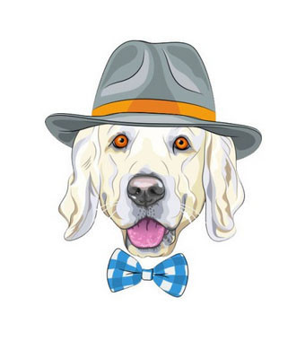 Термонаклейка модная для одежды Собака в шляпе Киев - изображение 1