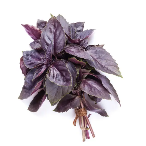 Базилік фіолетовий 3гр Смачний Житомир - фото 3