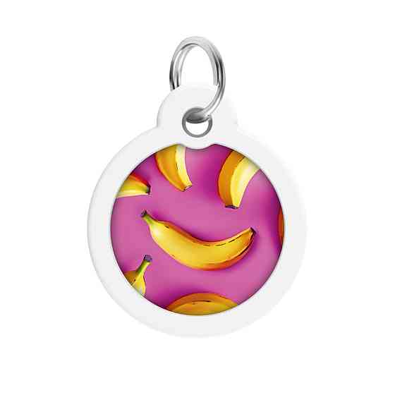 Адресник для собак и кошек металлический WAUDOG Smart ID с QR паспортом, рисунок 