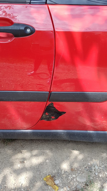 Наклейка на авто Вовк, Кіт, Чорна Київ - фото 6