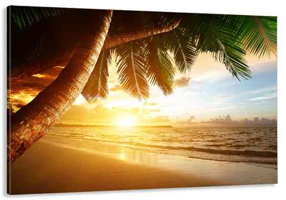 Картина холст у вітальню / спальню Захід сонця    MLP_66 ( 60х30см ) 40x80 см Київ