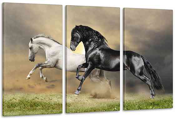 Модульна картина Коні Аrt-73_3А Київ