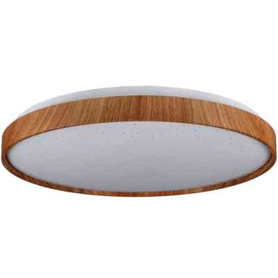 Светильник Vestum FOREST зоряне небо 60W 395*65мм 3000К-6500К з ДК тік (VS-91061) Винница