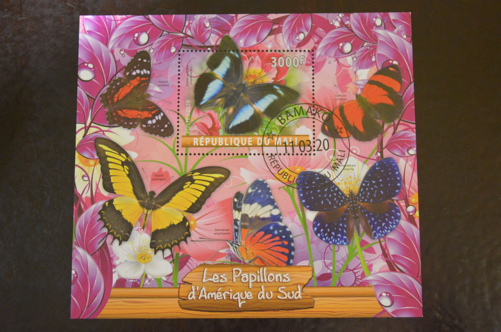 Малі. Марки. Фауна. Блок. 2020 рік (В-4) Полтава - фото 1