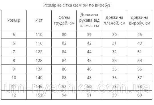 Вишиванка для хлопчика "Мирон" синьо-жовта Кривий Ріг
