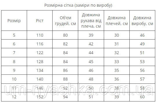 Вышиванка для мальчика 