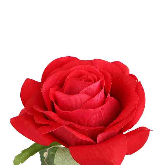 Троянда в колбі з LED підсвіткою 20 см, Червона, на батарейках / Нічник Вічна троянда / Квітка в колбі Київ