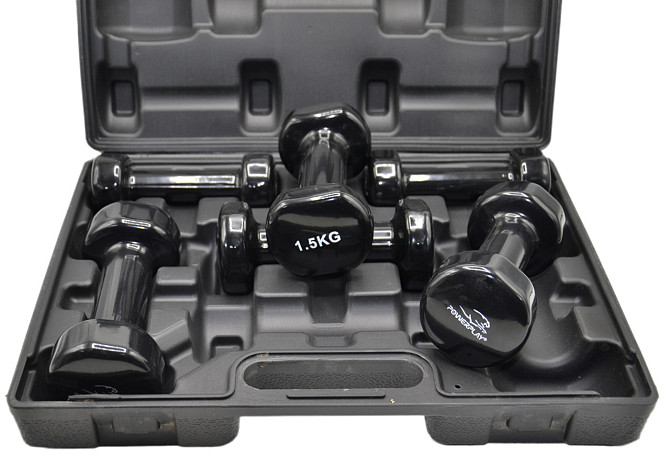 Набір гантелей в кейсі 9 кг. PowerPlay 4121 Fitness Dumbells (2шт.*1кг. 2шт.*1,5кг. 2шт.*2кг.) Кам'янське - фото 5