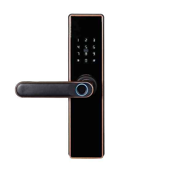 Замок біометричний автономний Trinix TRL-5402BTF Bronze з Bluetooth, зчитувачем відбитків пальців і карт Mifare (65-00072) Київ