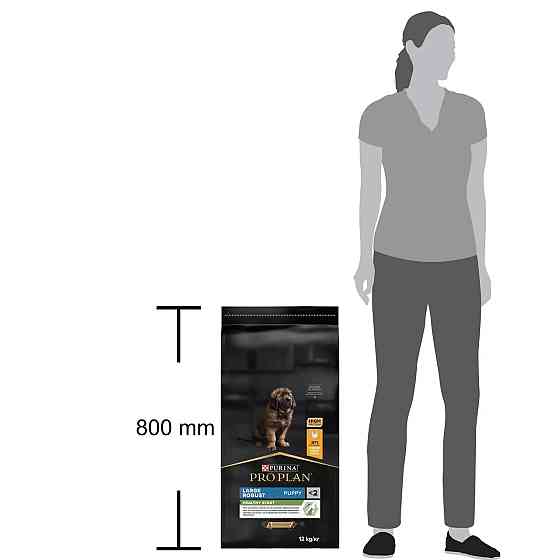 Сухий корм PRO PLAN Large Robust Puppy  Київ