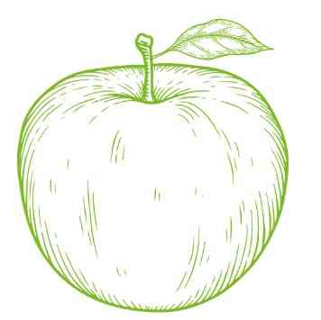 БИО-Шампунь Pure Balance для баланса волос жирных у корней и сухих на кончиках с Яблоком SANTE 250 мл Киев