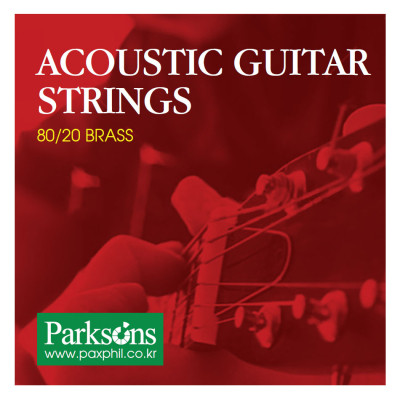 Струны для гитары Parksons Acoustic L (12-52) (S1252) Винница - изображение 1