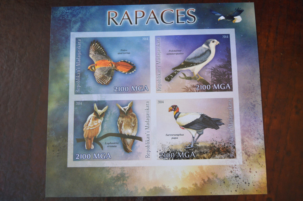 Мадагаскар. Фауна. Личности. Блок. (А-35) Полтава - изображение 1