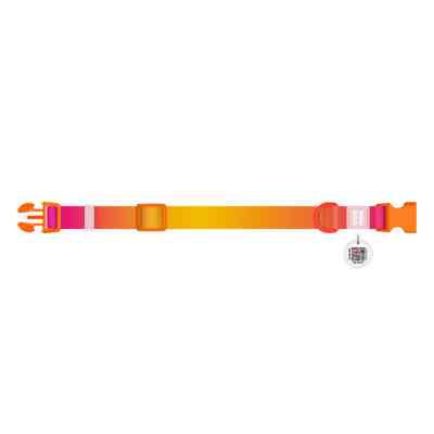 Ошейник для животных WAUDOG Nylon Recycled с QR паспортом, градиент, S оранжевый (47004) Винница