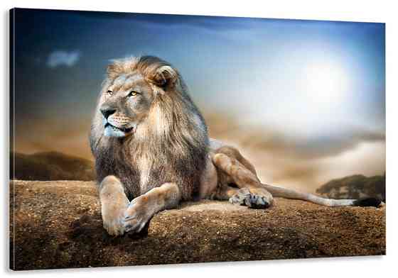 Картина холст в гостиную / спальню  Лев    MLP_109 80х160см Киев