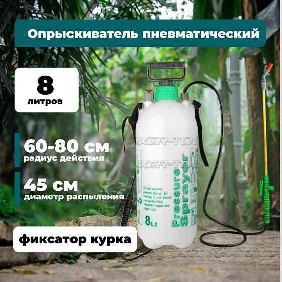 Пневматичний ручний обприскувач FT-679, об'єм 8 л, для обробки рослин та поливу розсади. Київ