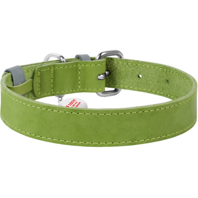 Ошейник для животных WAUDOG Classic кожаный 35 мм х 46-60 см салатовый (02395) Винница - изображение 2