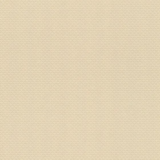 Шпалери Rasch Trianon XIII 570250 Київ