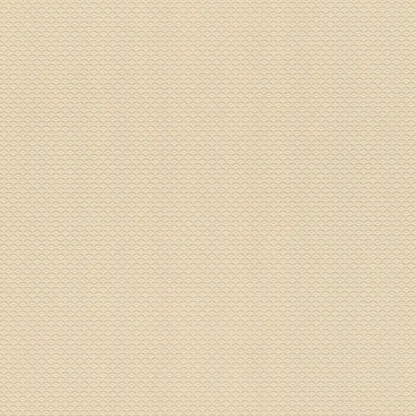 Шпалери Rasch Trianon XIII 570250 Київ - фото 1