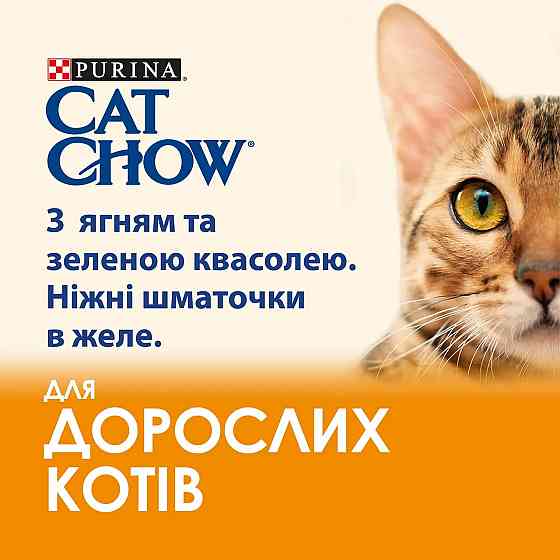 Вологий корм CAT CHOW Adult для дорослих котів, шматочки в желе, з ягням та зеленою квасолею, 85 г Київ