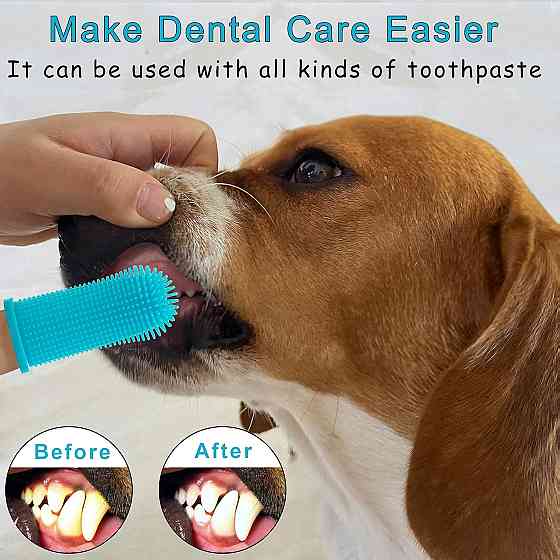 Набір зубних щіток для собак Aujzoo 4 шт Луцьк