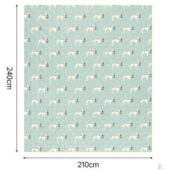 Килимок для пікніка Naturehike CNK2350WS010 210*240 см, блакитний із принтом Київ