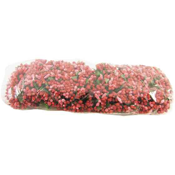 Декоративные тычинки для творчества KV-713 пучок 12 штук Винница