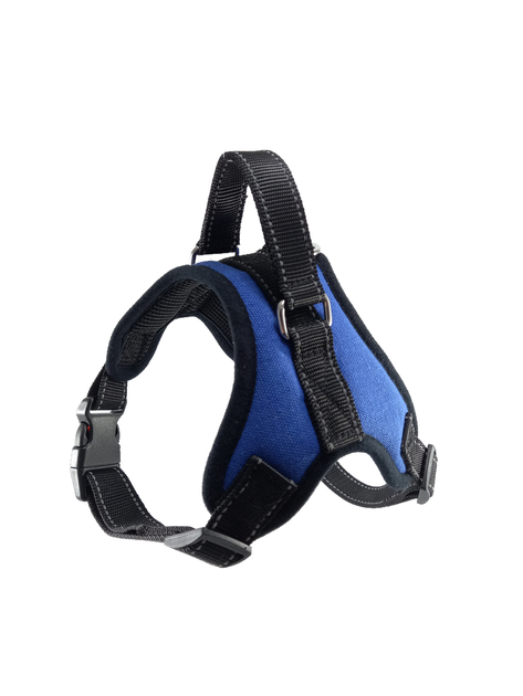 Шлея для собак з повідцем розмір М (товар вживаний) Луцьк - фото 8