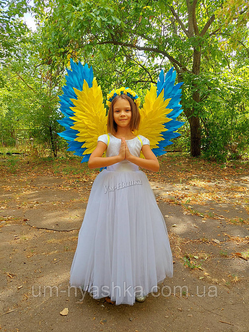 Крылья Ангела желто-голубые крылья украинские Ангел Украины Кривой Рог - изображение 2