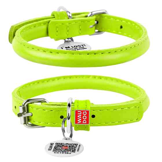 Нашийник для собак шкіряний WAUDOG Glamour з QR паспортом, круглий, Д 8 мм, Дов 25-33 см салато Коломия