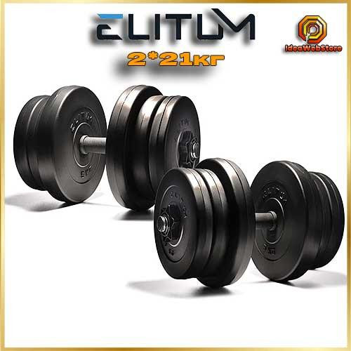 Гантели Elitum 2х21 кг разборные, для тренировок дома и в спортзале Киев - изображение 1