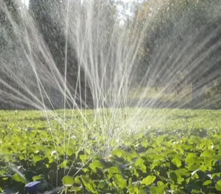 Заглушка 50 мм для спрей ленти "Туман" (фітінг для стрічки) Дніпро