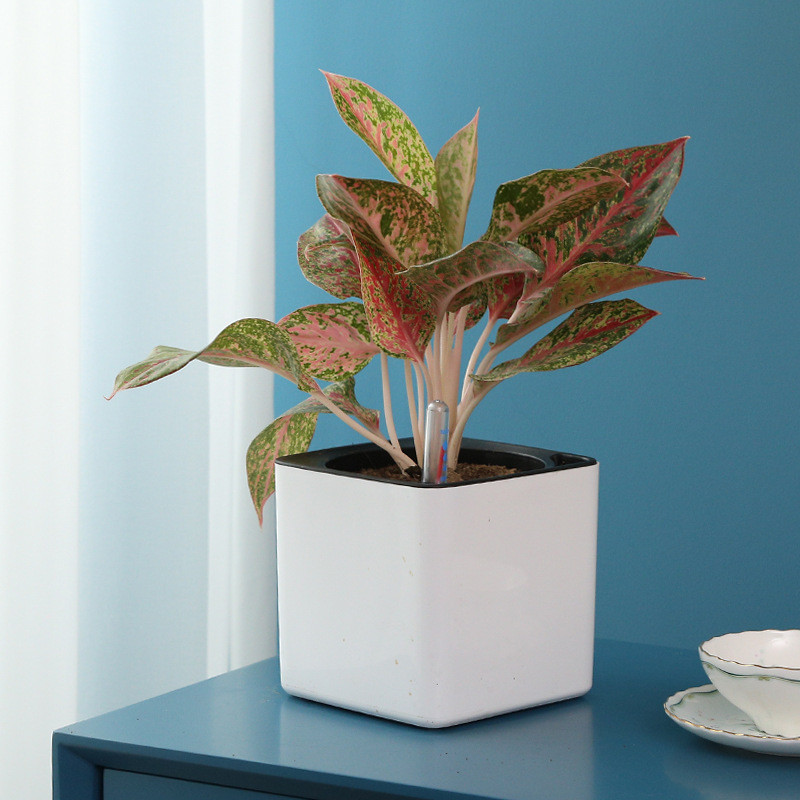 Горщик для квітів з системою автополиву M 14 х 14 х 13 см Київ - фото 3