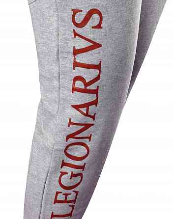 Спортивні штани Leone Legionarivs Fleece Grey L Київ