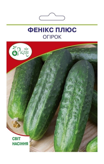 Насіння Огірка Фенікс плюс Київ - фото 1