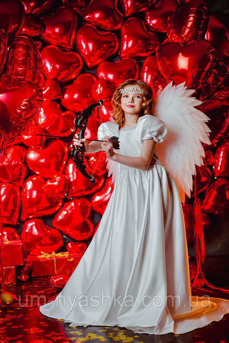 Крылья Ангела большие сердцем Кривой Рог - изображение 10