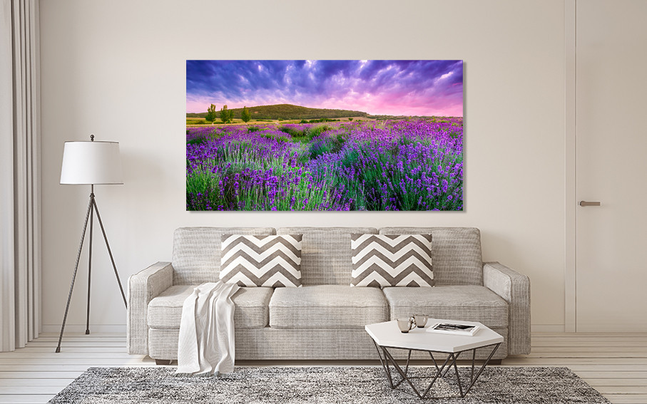 Картина полотно у вітальню / спальню  Лавандові поля    MLP_393 ( 60х30см ) 80x120 см Київ - фото 2