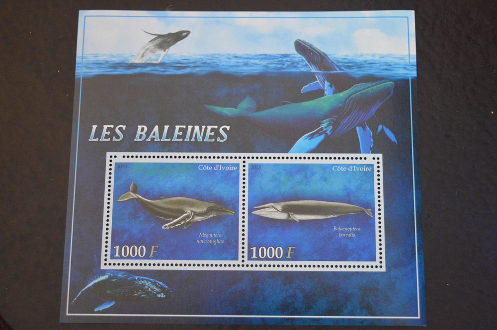 Кот-д'Івуар. Фауна. Блок. 2015 рік (В-6) Полтава - фото 1