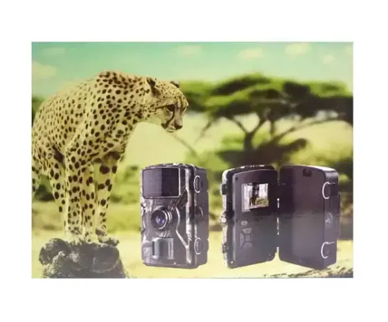 Мини видеорегистратор для охоты на батарейках, IP66, DL-001 / Охотничья видеокамера / Фотоловушка для охоты Коломия