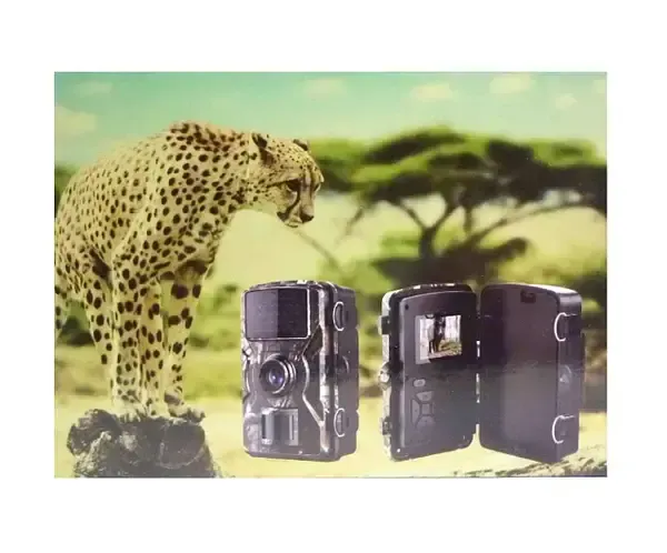 Мини видеорегистратор для охоты на батарейках, IP66, DL-001 / Охотничья видеокамера / Фотоловушка для охоты Коломыя - изображение 2