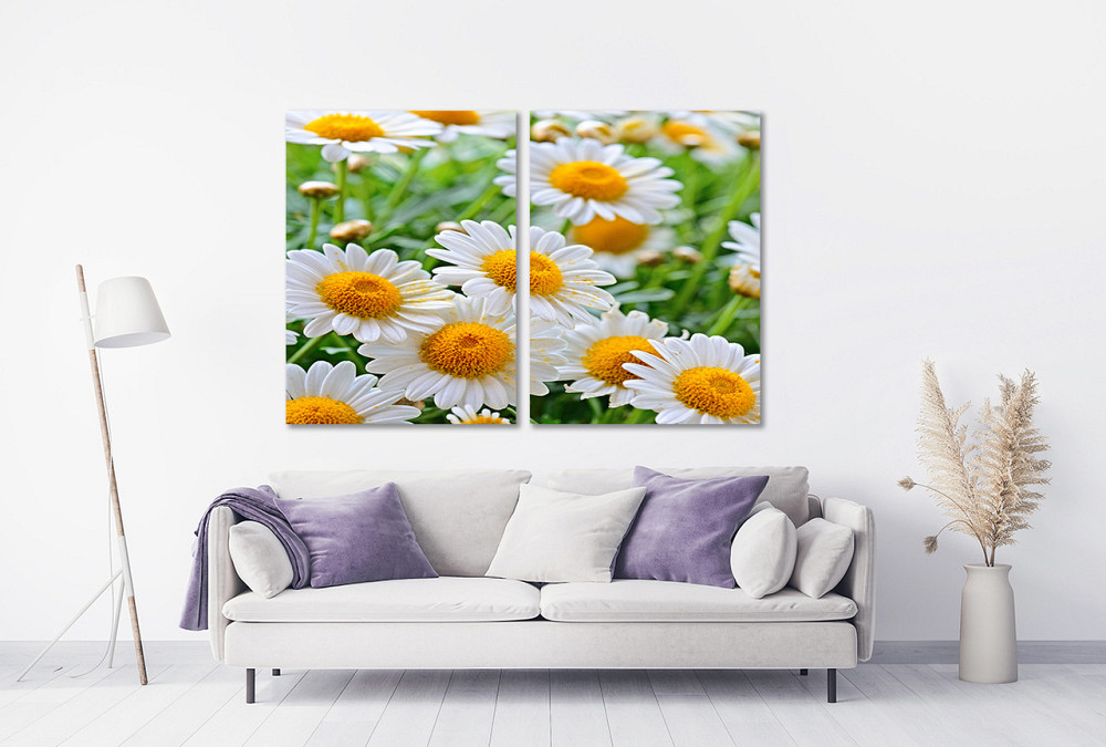 Модульная картина в гостиную / спальню Квіти Ромашки TLV-2_038 Киев - изображение 2