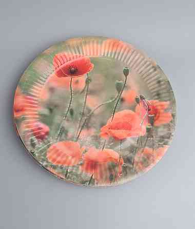 Паперова тарілка з малюнком 18 см "No 10" Макове поле 10 шт (1 пачка) Харків
