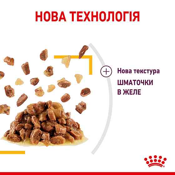 Вологий корм для дорослих котів ROYAL CANIN SENSORY TASTE JELLY 0.085 кг, шматочки у желе, cтимулює смак Київ