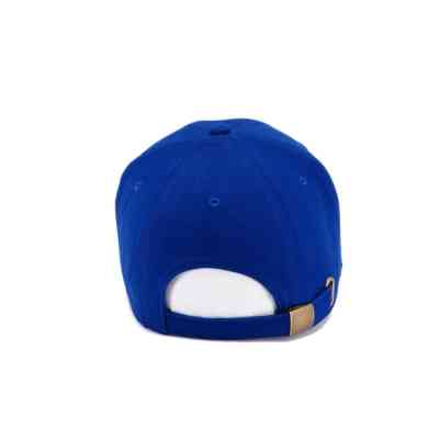 Кепка coFEE "turned sandwich" синій/білий (1734-4 CO) Вінниця