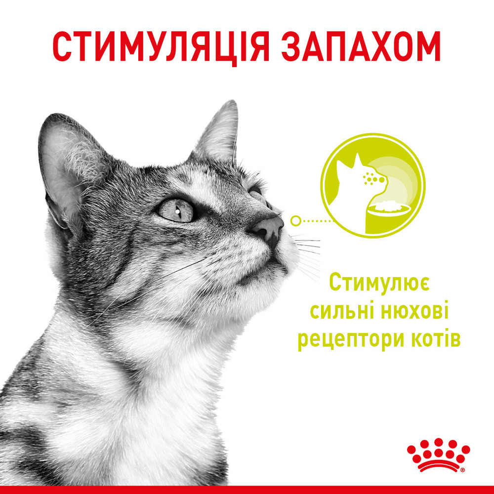 Вологий корм для дорослих котів ROYAL CANIN SENSORY MULTIPACK GRAVY, 12 паучів Київ - фото 2