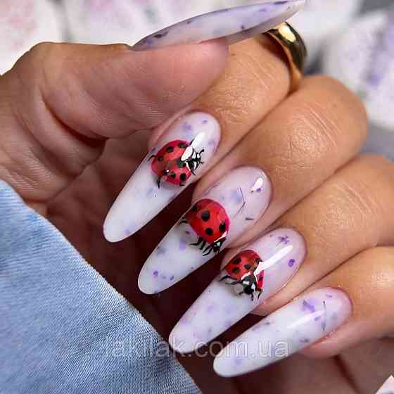 Гель для нарощення нігтів Crooz Flora Touch Gel 07 (з сухоцвітами) 15мл Херсон