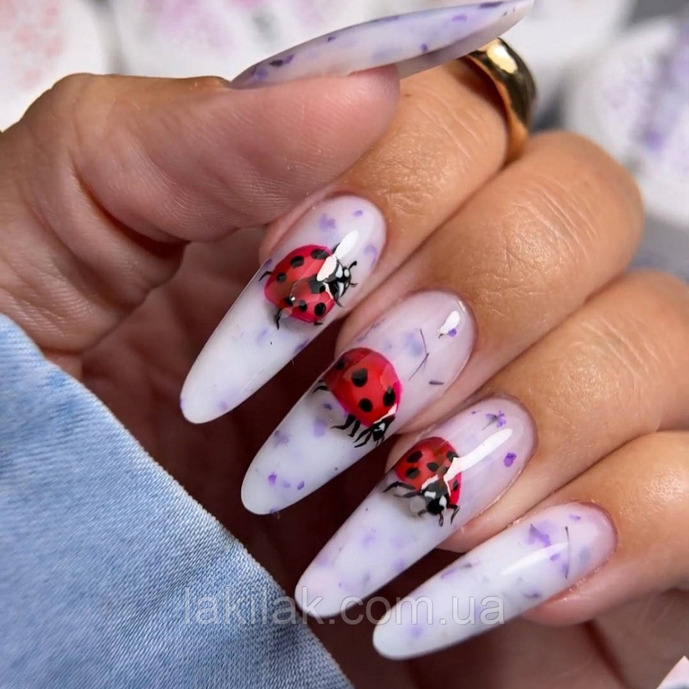 Гель для нарощення нігтів Crooz Flora Touch Gel 07 (з сухоцвітами) 15мл Херсон - фото 1