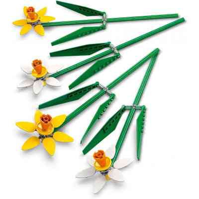 Конструктор LEGO Iconic Нарциси 216 деталей (40747) Вінниця